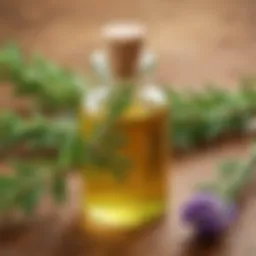 Natural rosemary oil remedy for lice removal