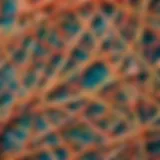 Rubber bands arranged in a geometric pattern