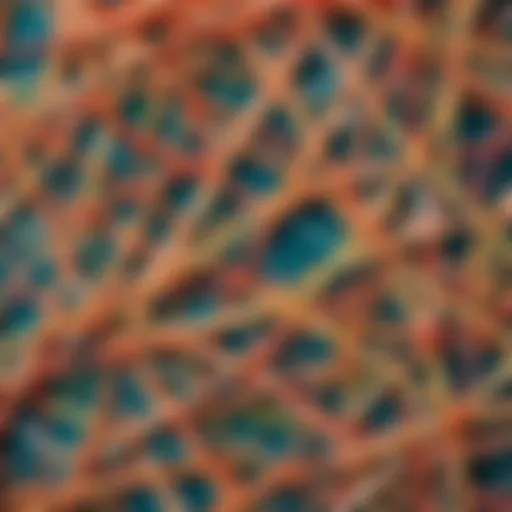 Rubber bands arranged in a geometric pattern