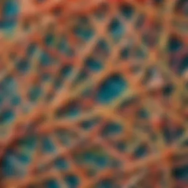 Intricate Rubber Band Design Rubber bands arranged in a geometric pattern