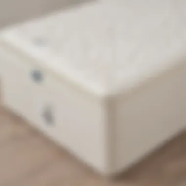 Safety-Tested Costco Crib Mattress