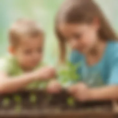 Nurturing Young Minds: Observing Seedling Growth Up Close Seedling Growth Experiment