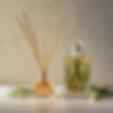 Eco-Friendly Reed Diffuser for Fresh Scent Eco-Friendly Reed Diffuser