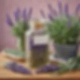Lavender and Sage Infusion
