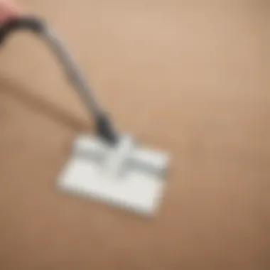 Spotless Carpet After Cleaning