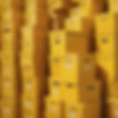 Golden Glow: Stylish Yellow Storage Boxes Golden Glow: Stylish Yellow Storage Boxes