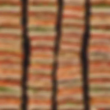 A vibrant display of various turkey sandwich variations