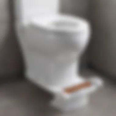 Ergonomic Toilet Seat Foot Rest Design