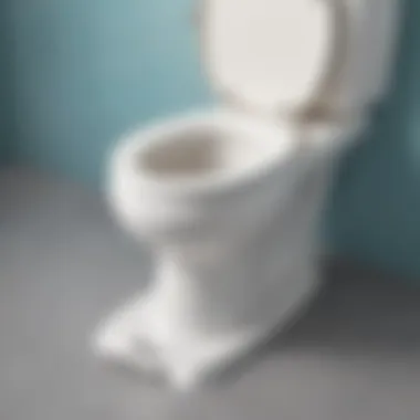 Installation Process of Toilet Seat Foot Rest