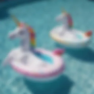 Colorful Twin Unicorn Pool Floats