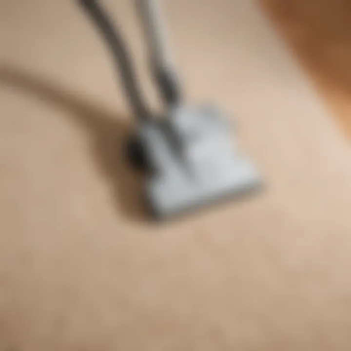 Eco-Friendly Carpet Cleaning Solutions