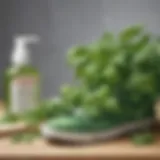 Fresh basil leaves for shoe washing