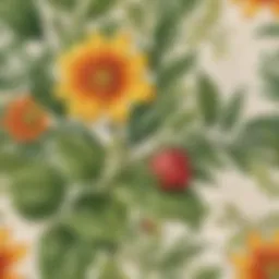 Organic botanical ingredients for natural freshness