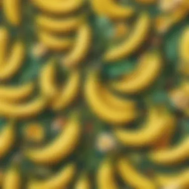 Bananas: More Than Just a Fruit Unconventional fact about bananas