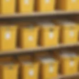 Mellow Yellow: Aesthetic Storage Bins